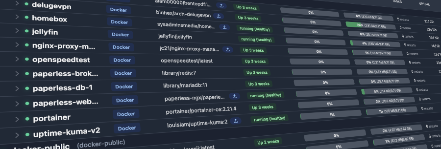 Homelab Docker containers stats